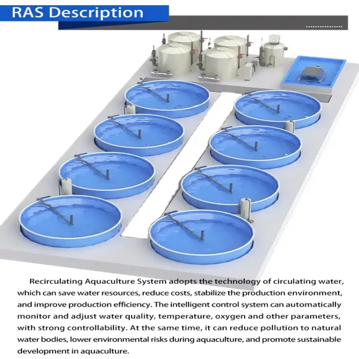 Fish farming equipment aquaculture ras system for tilapia fish grow Circulating water filtration