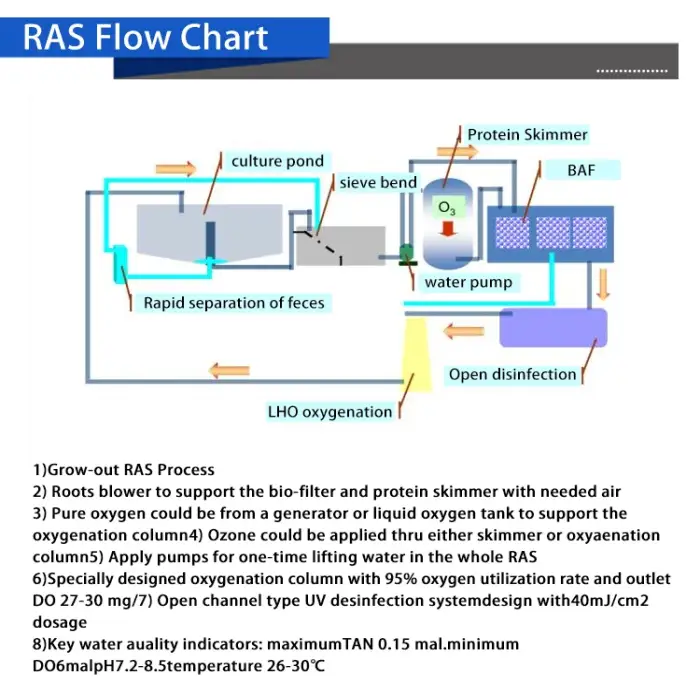 Fish farming equipment aquaculture ras system for tilapia fish grow Circulating water filtration