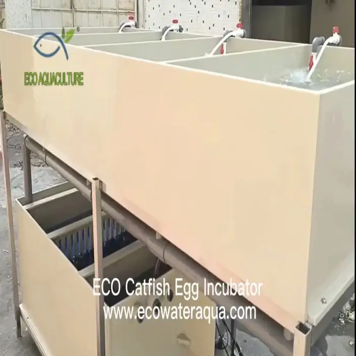 ECO fish incubator catfish tilapia fish hatchery equipment fingerling farming equipment with heat pump water fish tank