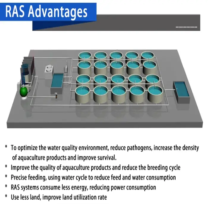 Fish farming equipment aquaculture ras system for tilapia fish grow Circulating water filtration