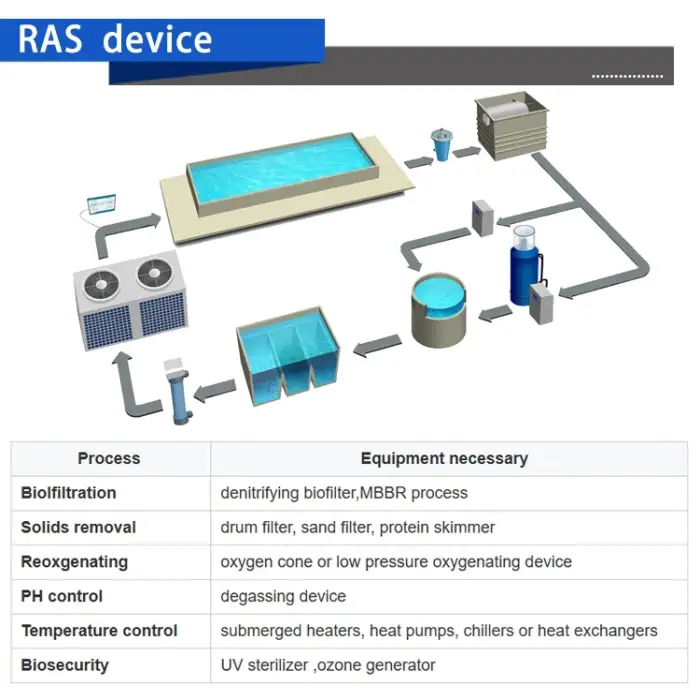 Fish farming equipment aquaculture ras system for tilapia fish grow Circulating water filtration