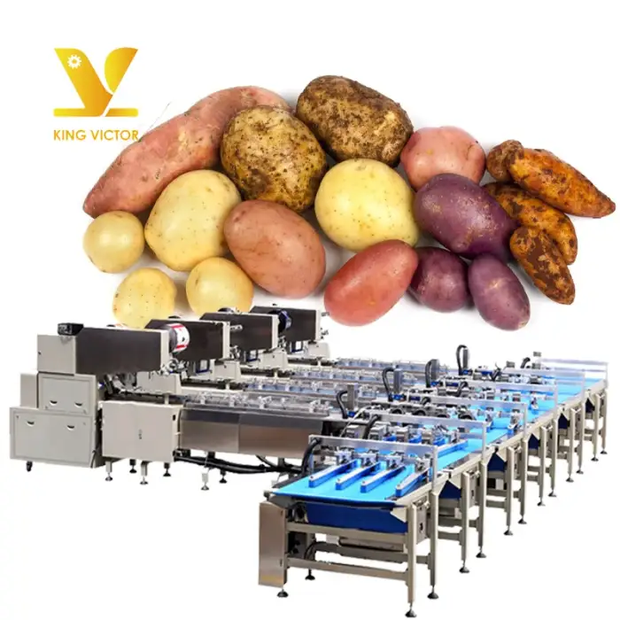 automatic hot selling vegetable and fruit packaging line machine