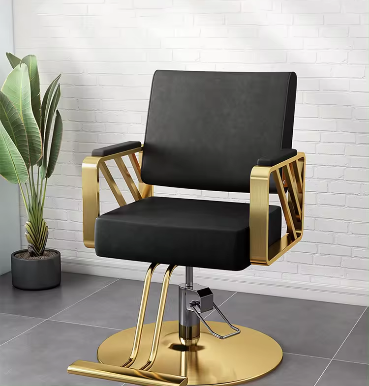 Elastic Cushion Barber Salon Chair