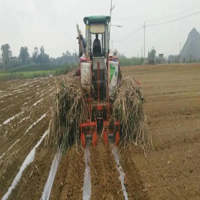 High Efficient Tractor Mounted Sugarcane Planter Sugarcane Planting Machine