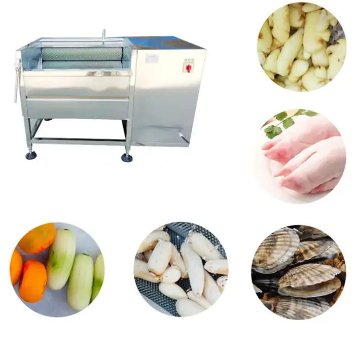 High Speed Gingee Turmeric Washing Potato Polishing Peeling Machine Tomato Brush Washer Washing Vegetable Machine