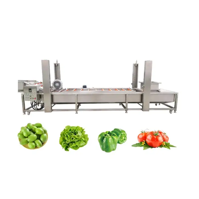 Fruit and Vegetable Processing Equipment Avocado Washing and Sorting Machine Vegetable Washing Machine