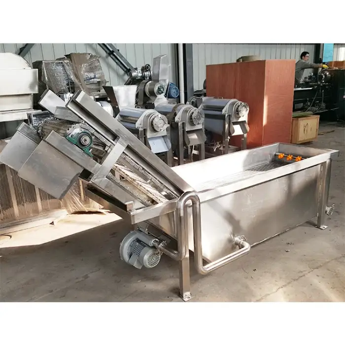 Automatic Conveyor Air Bubble Fruit Washing And Cleaning Machine Vegetables Bubble Washer Equipment