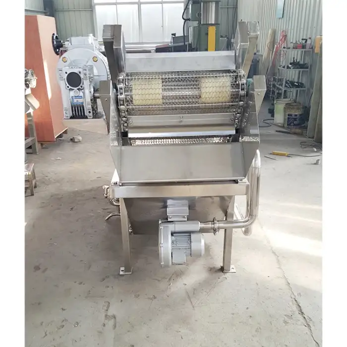 Automatic Conveyor Air Bubble Fruit Washing And Cleaning Machine Vegetables Bubble Washer Equipment