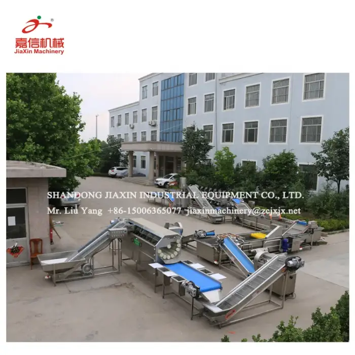 Industry  vegetable and fruit washing and cutting  processing machine