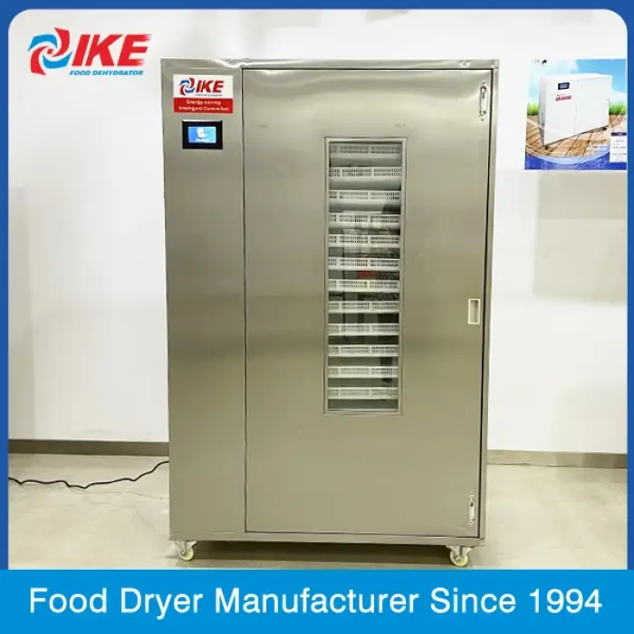 WRH-100B Commercial fruit and vegetable dryer  fish fig drying equipment