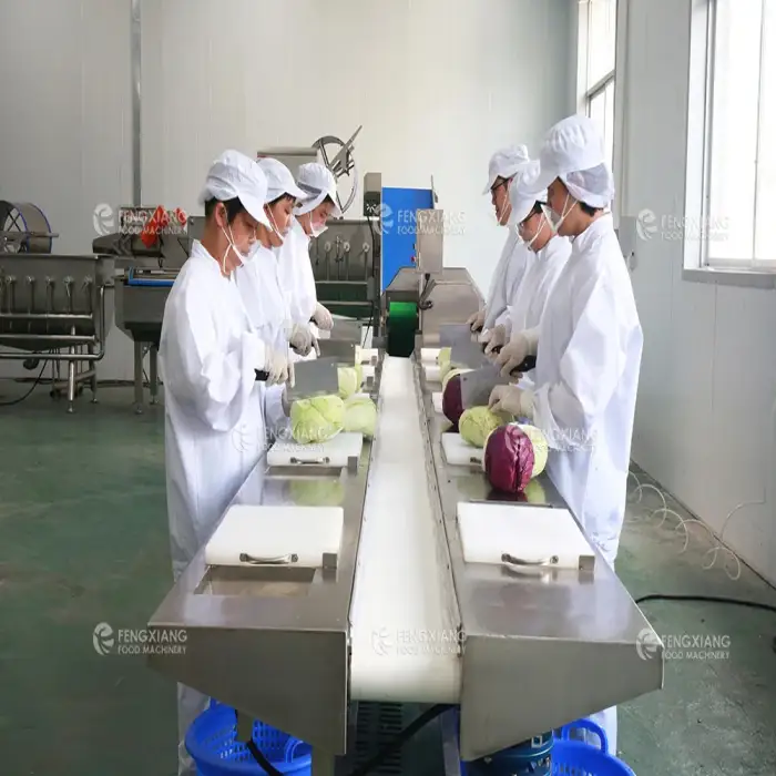 Salad Processing Line Vegetable Production Line Fruit And Vegetable Cutting Washing Drying Line