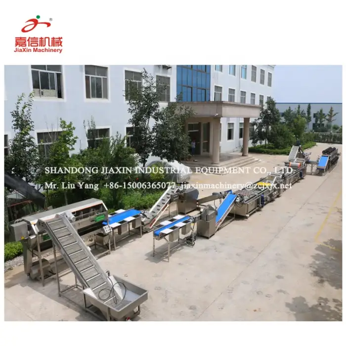 Industry  vegetable and fruit washing and cutting  processing machine