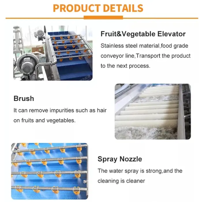 LWT Fruit Washer and Vegetable Cleaning Machine Strawberry Garlic Peach Carrot Washing Machine