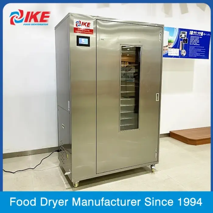 WRH-100B Commercial fruit and vegetable dryer  fish fig drying equipment