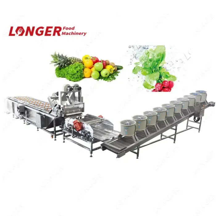 Commercial Processing Machine Fruit And Vegetable Washing Equipment Manufacturers in India