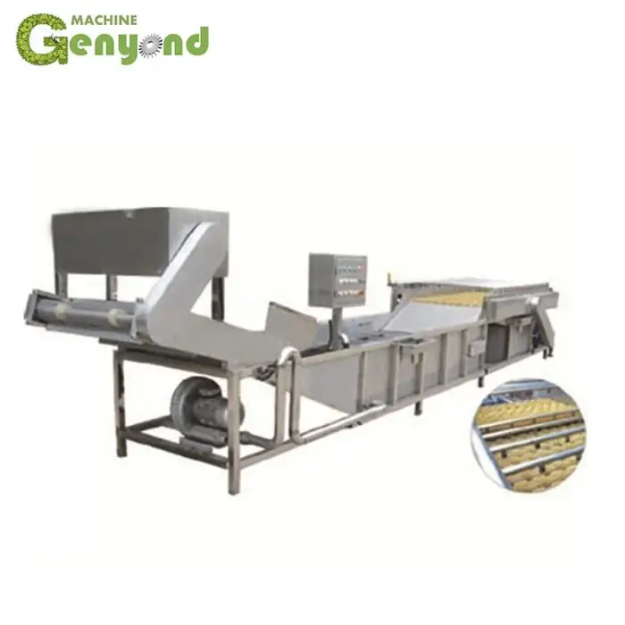 Automatic Fruit And Vegetable Processing Machine Equipment Berry Washing Machine