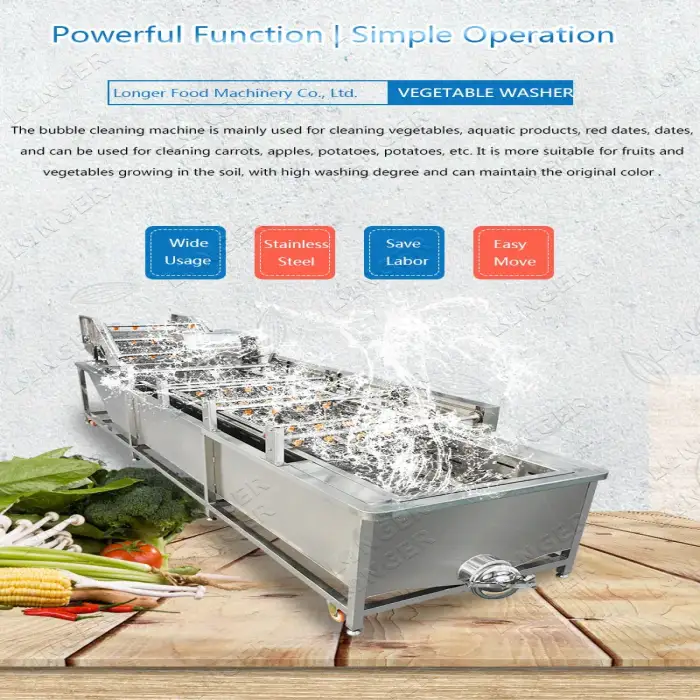 Commercial Processing Machine Fruit And Vegetable Washing Equipment Manufacturers in India