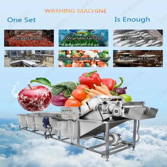 Commercial Processing Machine Fruit And Vegetable Washing Equipment Manufacturers in India