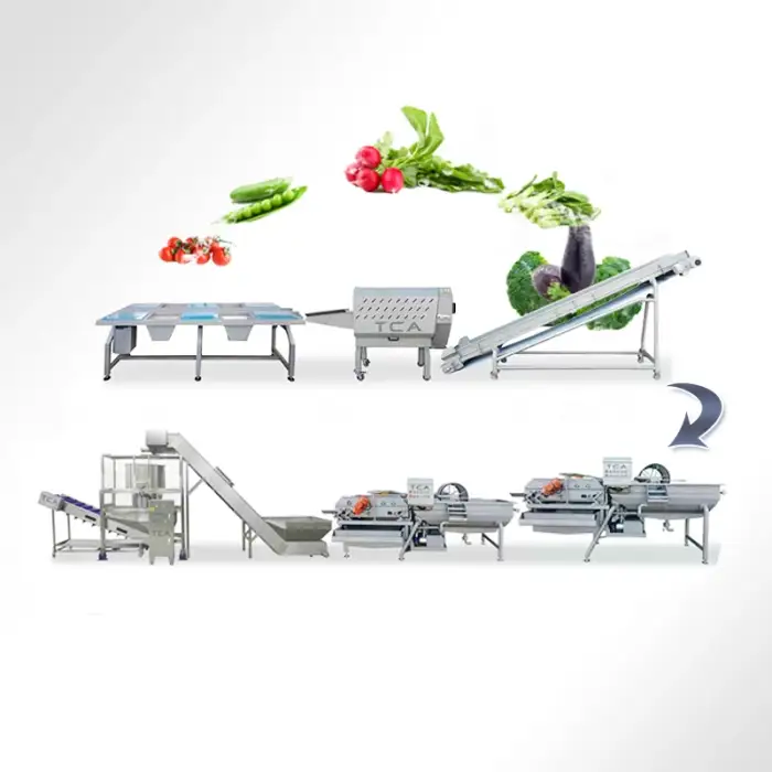 TCA CE certificated Industrial Ozone Strawberry Apple Washing Line Drying Machine Air Bubble Fruit Vegetable Washer