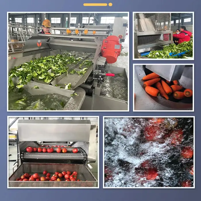 TCA CE certificated Industrial Ozone Strawberry Apple Washing Line Drying Machine Air Bubble Fruit Vegetable Washer