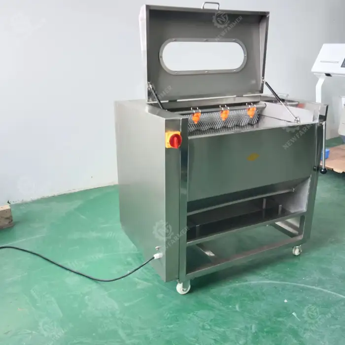 High Efficiency Fruit Vegetable Brush Washing Equipment Industrial Potato Washing and Peeling Machine