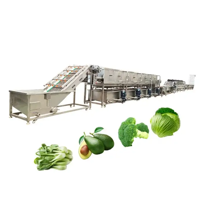 Joyshine Customized Vegetable Washing Machine SUS 304 Material Commercial High Efficiency Bubble Vegetable Cleaning  Machine