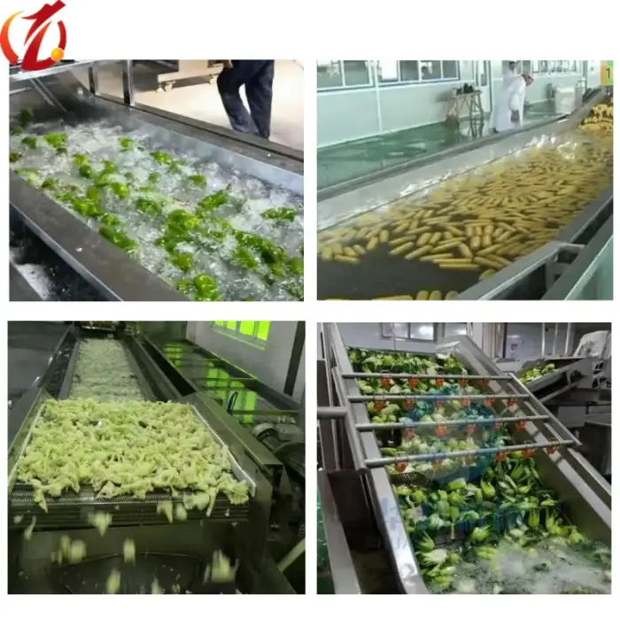 Fruit and vegetable blanching machine for cassava potato asparagus carrots corn mushroom