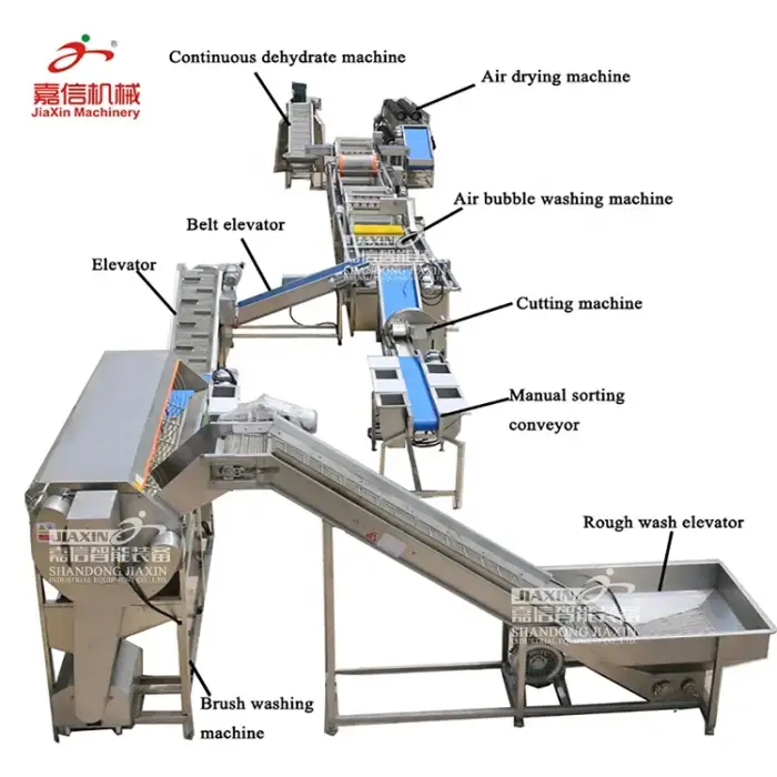 Automatic frozen fruit and vegetable production line  Washing Drying Line Frozen Vegetable Washing Processing Line