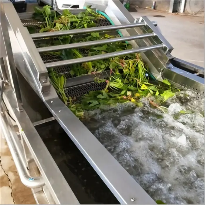 Fruit and vegetable  Washing  cleaning machine