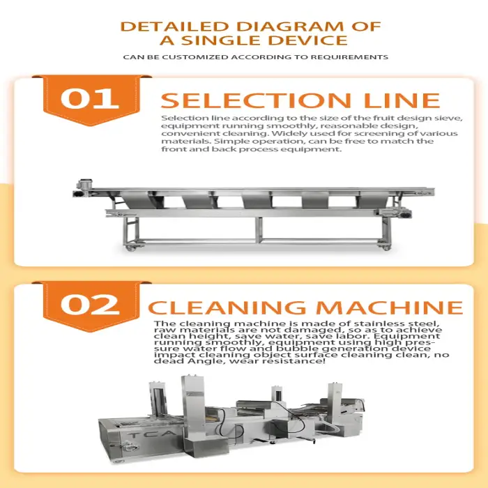 XDX Vegetable dryer DehydratorVegetables and fruits drying processing line machines Drier