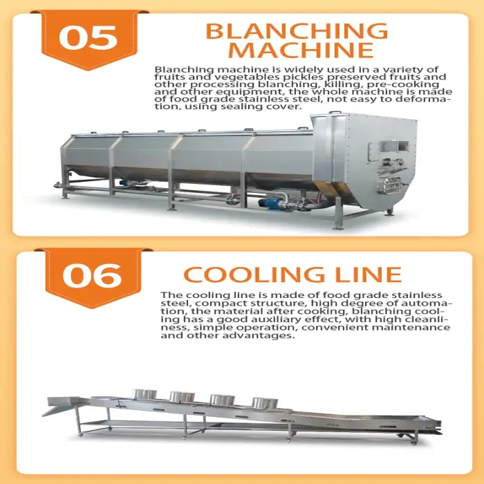 XDX Vegetable dryer DehydratorVegetables and fruits drying processing line machines Drier