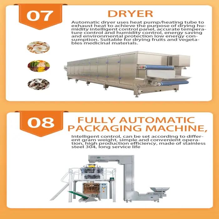 XDX Vegetable dryer DehydratorVegetables and fruits drying processing line machines Drier