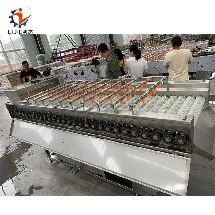 Commercial Brush Washing Machine Food Cleaning Machine Fruit and Vegetables Washing Equipments