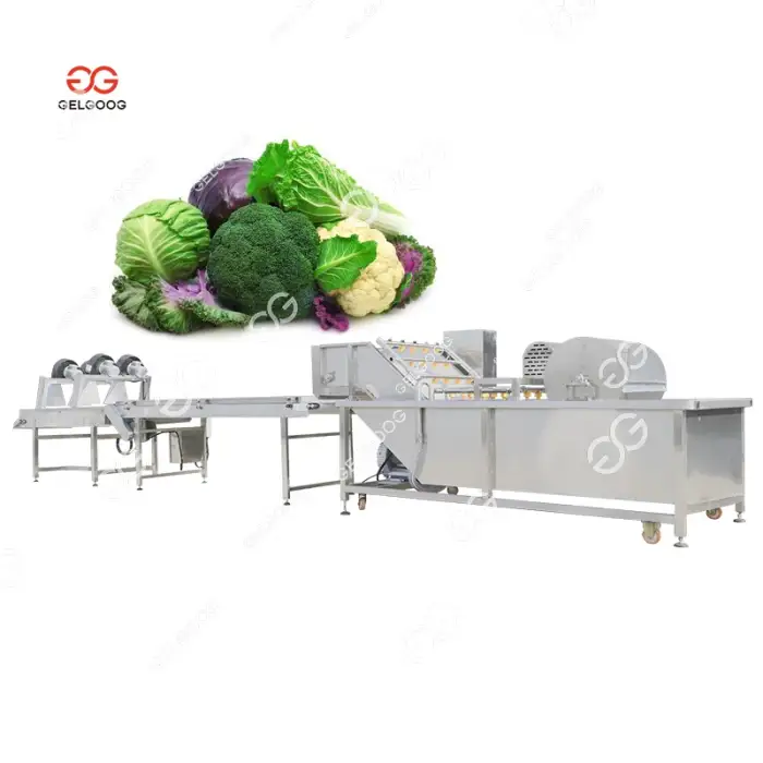 Multifunctional Celery Vegetables Wash And Air Drying Line Machine Fruit &amp; Vegetable Washing Equipments Washer