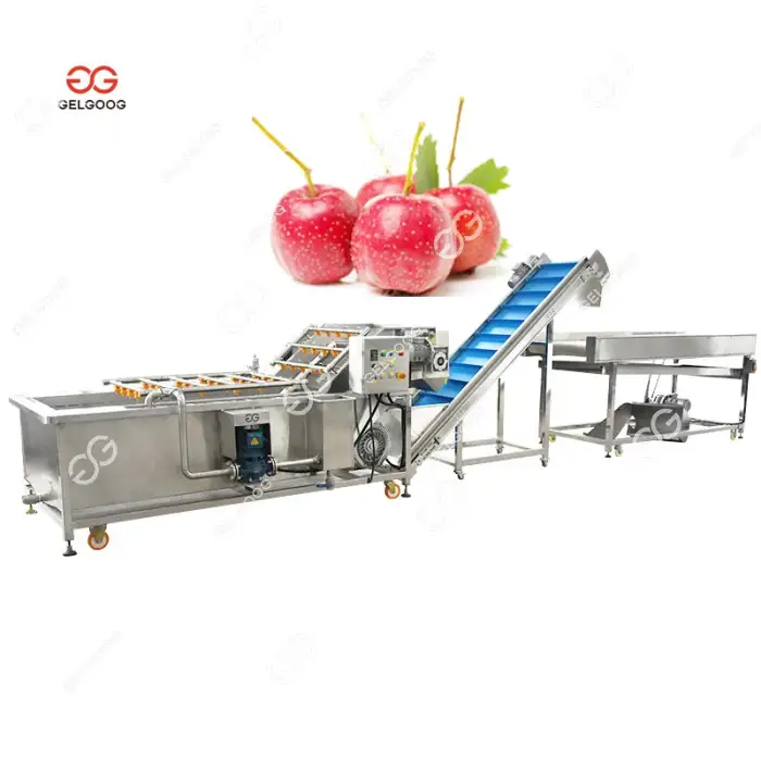 Multifunctional Celery Vegetables Wash And Air Drying Line Machine Fruit &amp; Vegetable Washing Equipments Washer