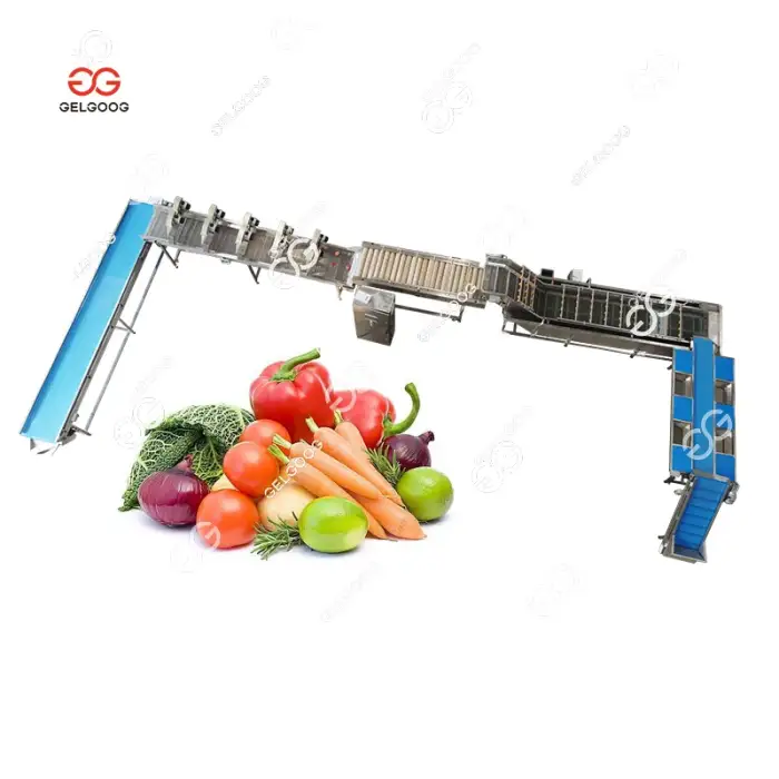 Multifunctional Celery Vegetables Wash And Air Drying Line Machine Fruit &amp; Vegetable Washing Equipments Washer