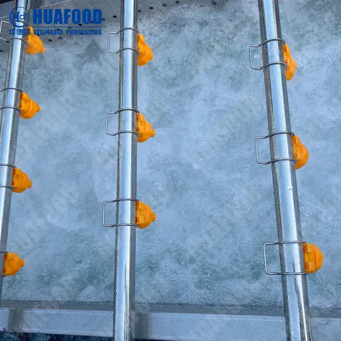 Bubble Fruit And Vegetable Washer Automatic Root Vegetable Dates Cleaning Machine