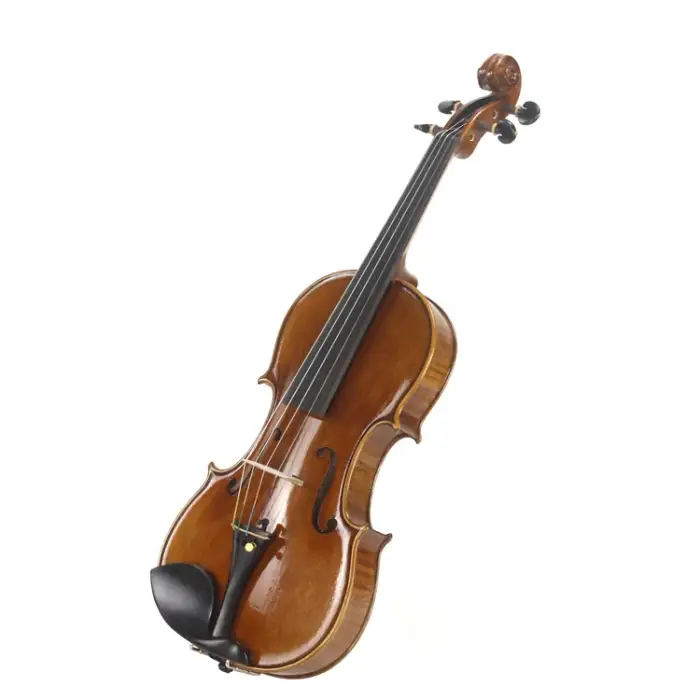 Professional Solo Violin Music Instrument