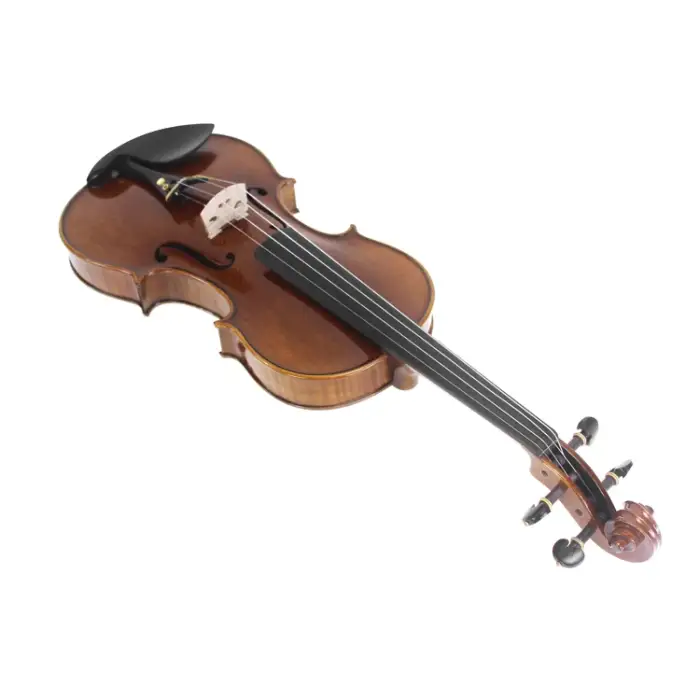 Professional Solo Violin Music Instrument