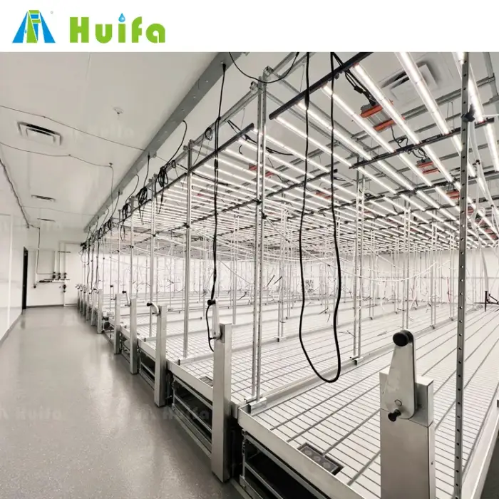 Vertical Cultivation Turnkey Solutions Provides Lighting Irrigation And Ventilation Modular And Versatile Full Equipment