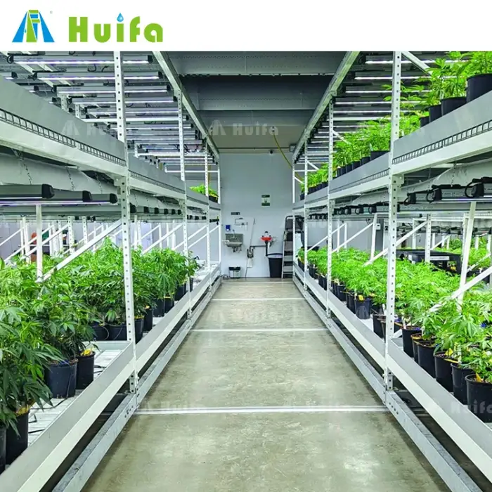 Vertical Cultivation Turnkey Solutions Provides Lighting Irrigation And Ventilation Modular And Versatile Full Equipment