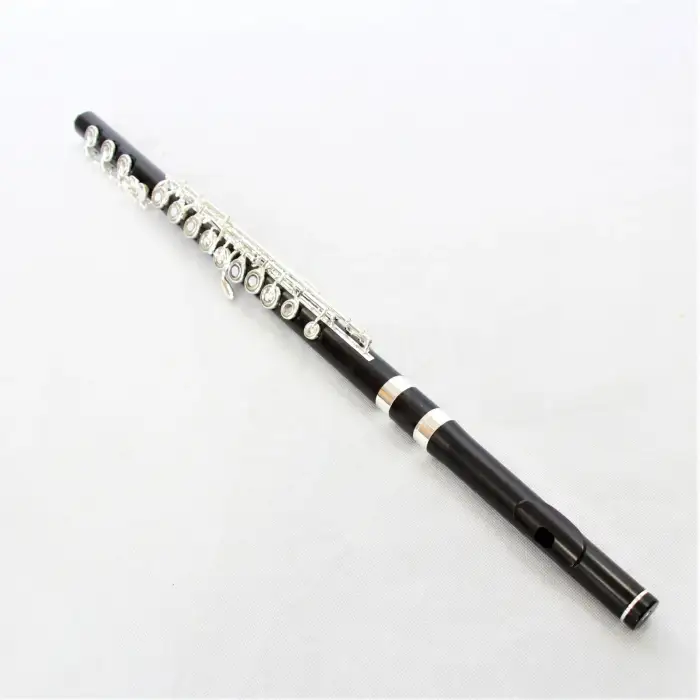 Professional Flute Silver Music Instrument Flute Wood Instrument  Ebony Head Joint