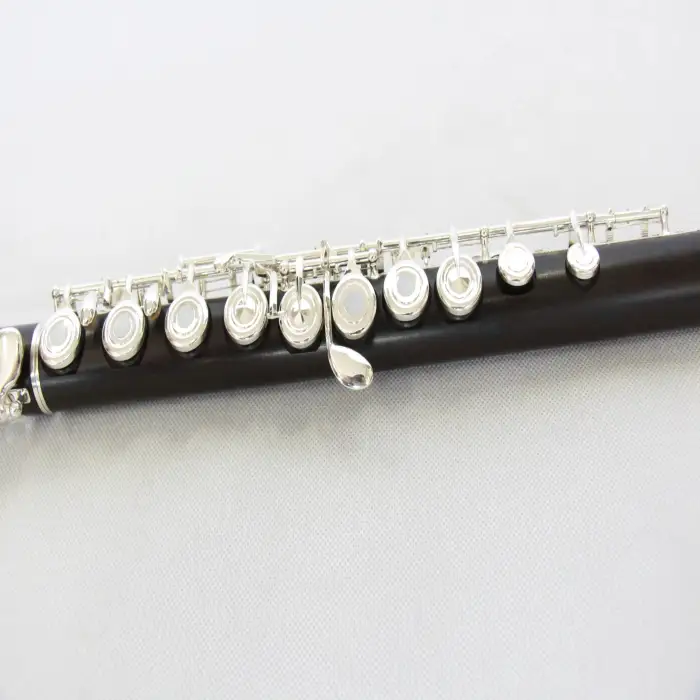 Professional Flute Silver Music Instrument Flute Wood Instrument  Ebony Head Joint