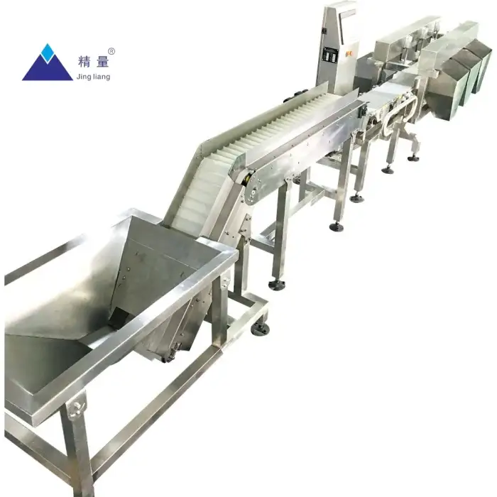 Multi-functional conveyor belt scale oyster fish meat grading machine weighing sorting machine