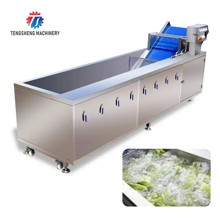 Hot Sale Ozone Bubble Vegetable Washing Machine for Restaurant