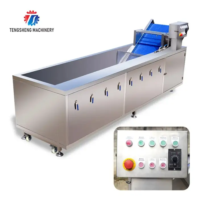 Hot Sale Ozone Bubble Vegetable Washing Machine for Restaurant