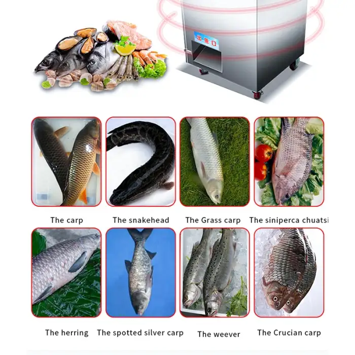 Full Automatic High Efficiency Commercial Stainless Steel Fish Processing Machines with Open Belly and Back Function