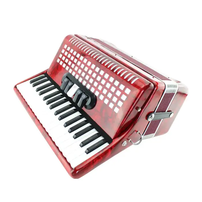 accordion musical instrument 60 bass 34 keys 5 variants