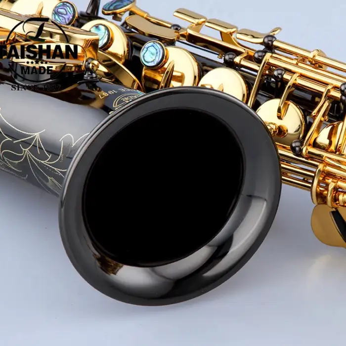 Black Nickel Alto Saxophone with Eb Tone Brass Body Musical Instrument