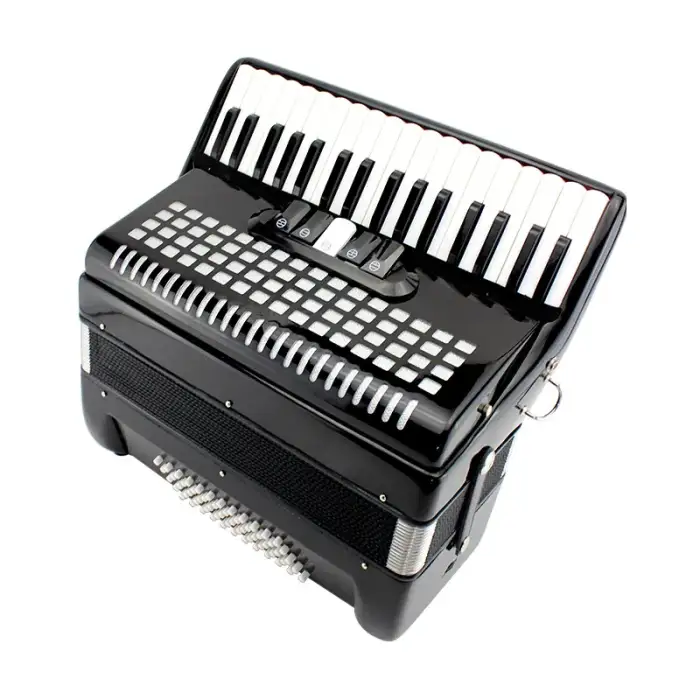 accordion musical instrument 60 bass 34 keys 5 variants